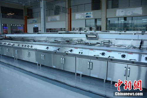 智慧引领未来 山东小城如何以创新厨具卫具征服全球厨房